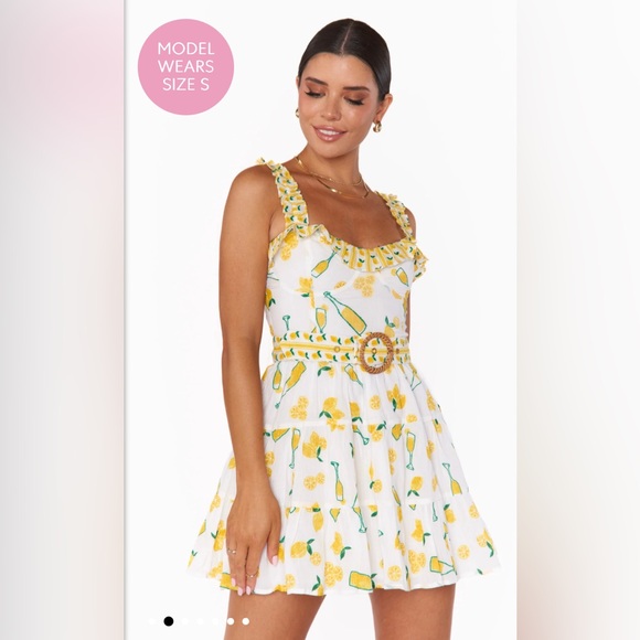 Show Me Your MuMu Limoncello embroidery Jolene mini dress - Picture 3 of 9
